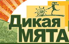 «Ля-минор» осуществляет информационную поддержку фестиваля «Дикая Мята»