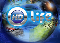 HD Life  объединяет своих поклонников «ВКонтакте»