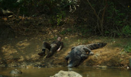 Остров хищника