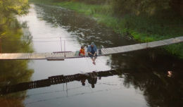 На деревню дедушке