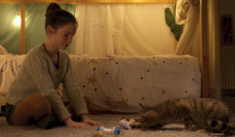 Мой котик и я