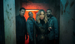 Идеальная афера