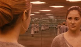 ДИВЕРГЕНТ 1-3