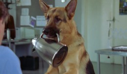 Комиссар Рекс