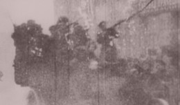 Революция LIVE