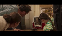 Мой котик и я