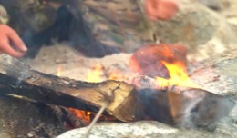 ГП. ОТ БЕЛОГО ОЗЕРА ДО БЕЛОГО МОРЯ