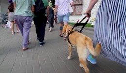 ПРЕМЬЕРА ИНОЙ ВЗГЛЯД