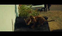 Король-львенок