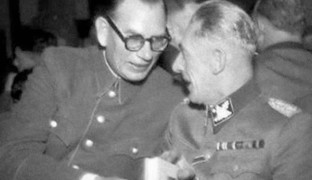 Коллаборационисты Второй мировой войны: Армия Власова: миф и реальность
