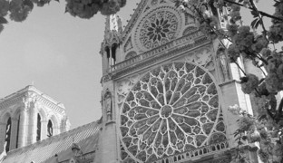 Собор Парижской Богоматери. Тайны средневековых зодчих