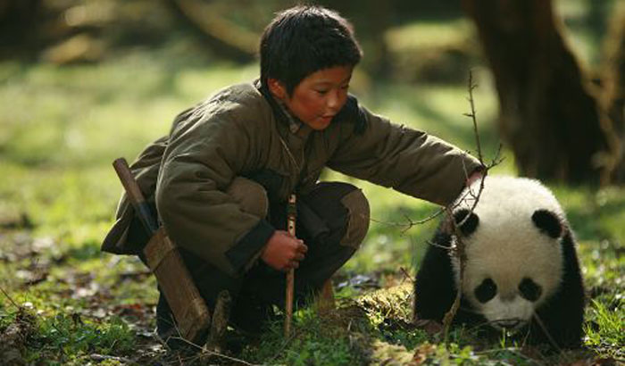 Панда режиссер. След панды (2009). Xiong Mao Панда.